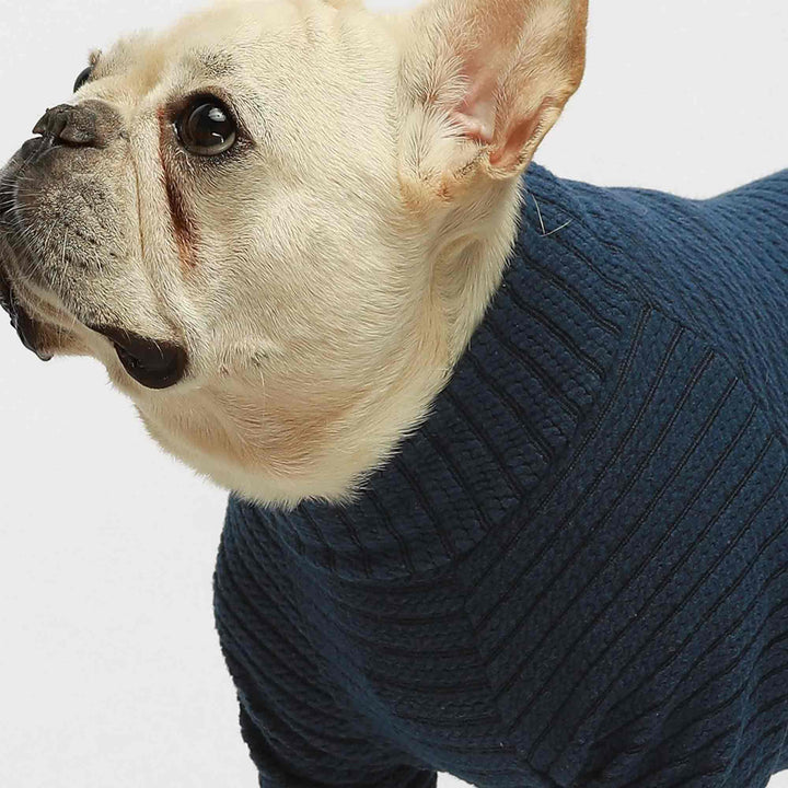 Twist Knit french bulldog clothes