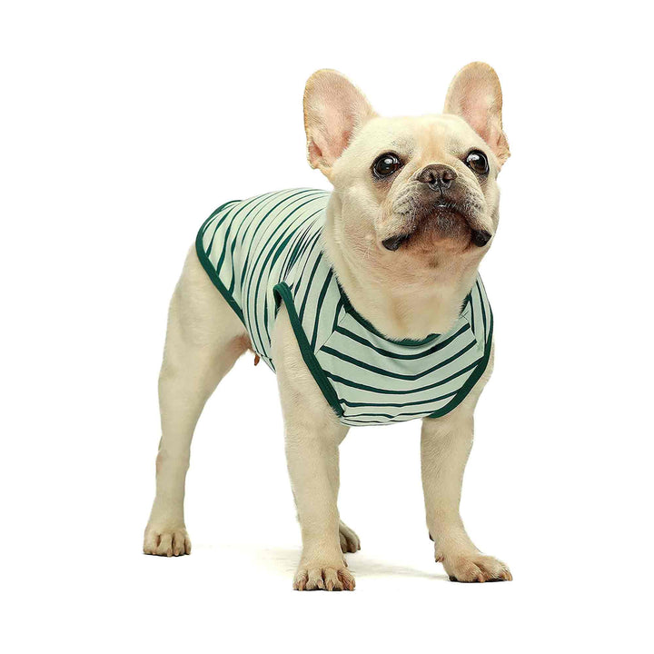 2-Pack Vest frenchie clothing