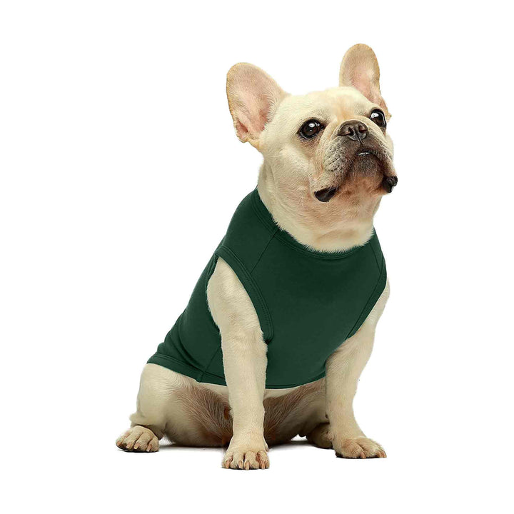 2-Pack Vest french bulldog clothes