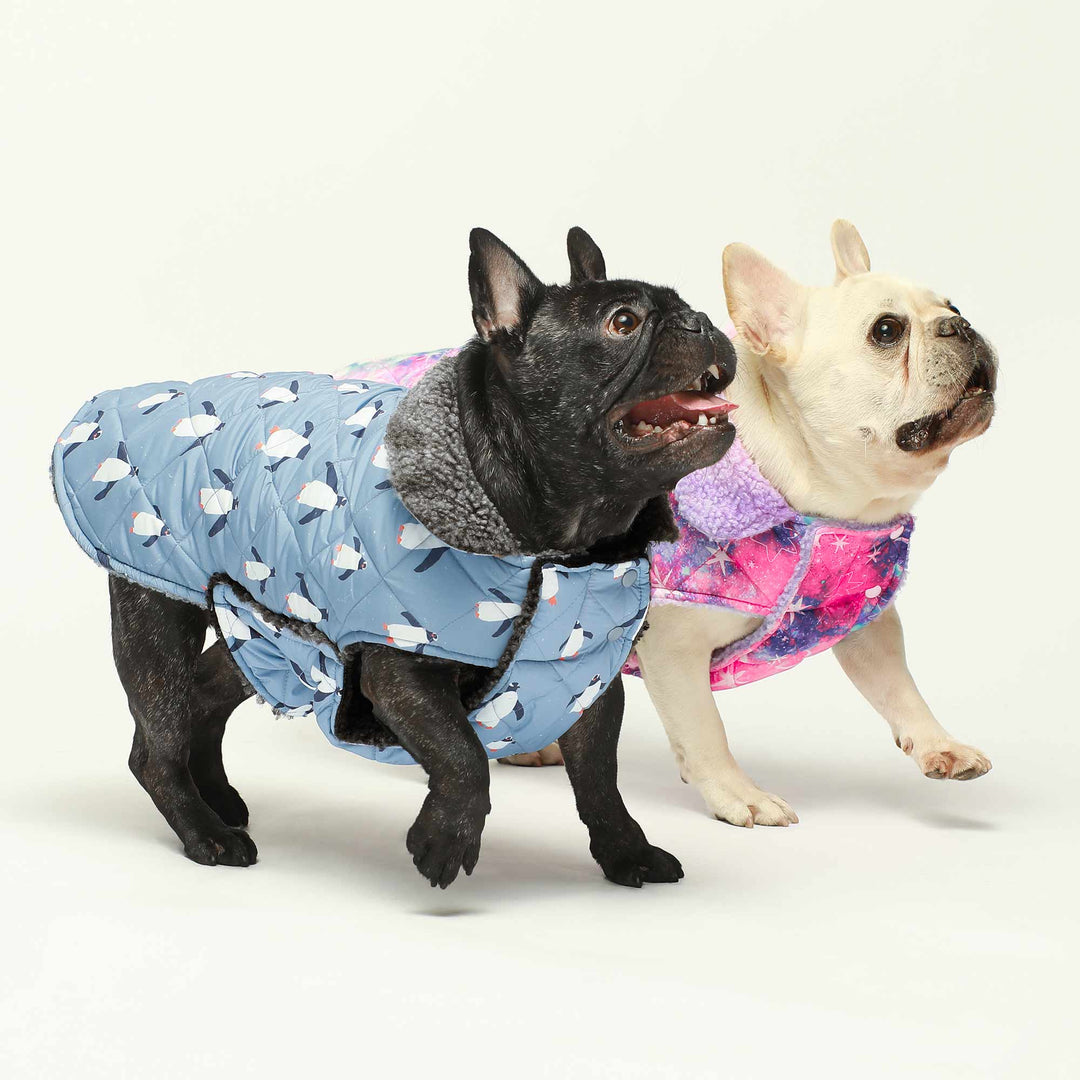 Waterproof Reversible Galaxy/ Penguin Pattern Clothing For Frenchies