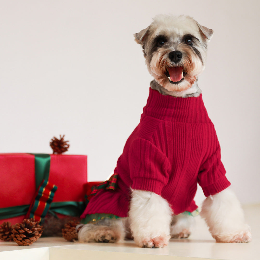 Turtleneck Knitted Tulle schnauzer clothes