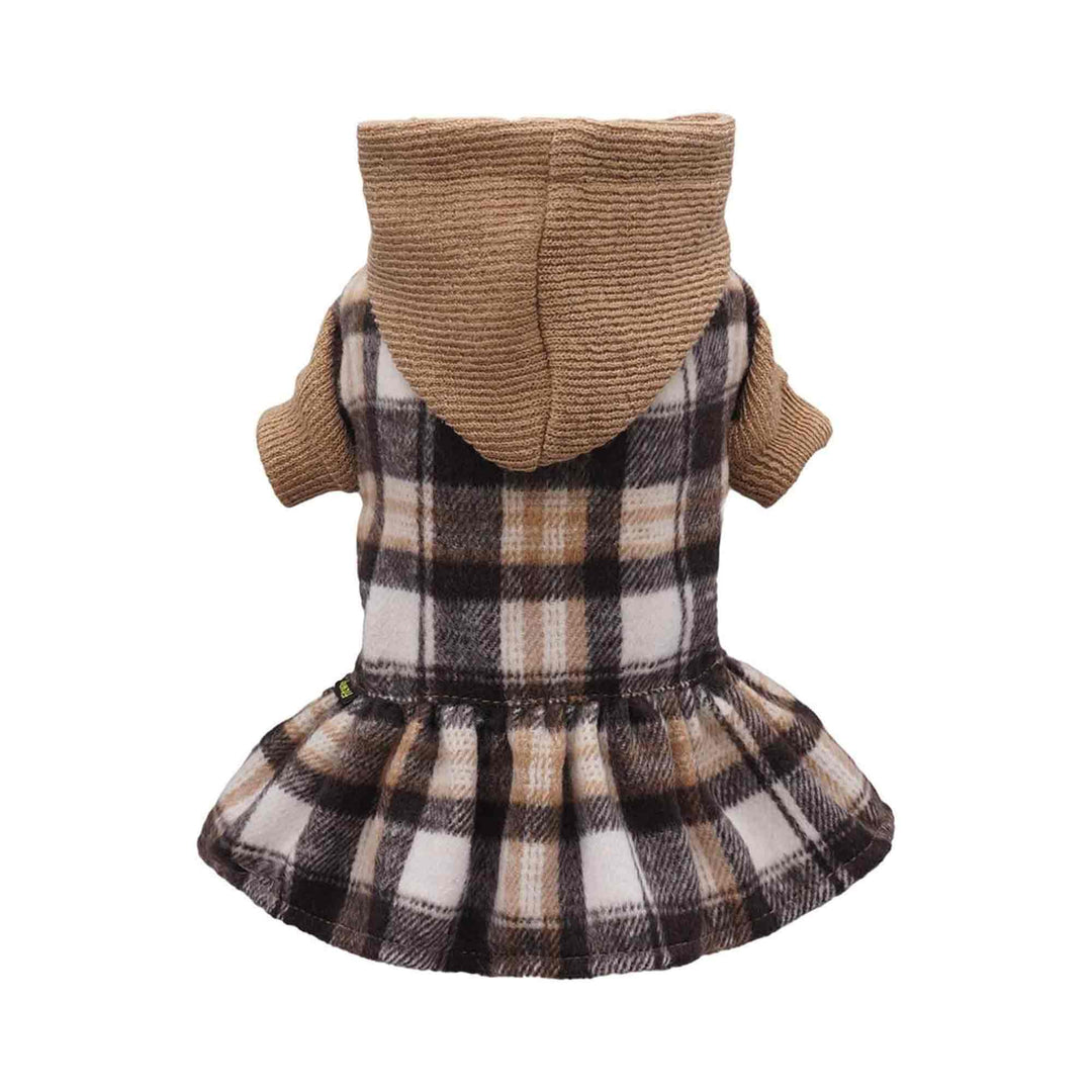 Plaid Hooded dog in dress 
