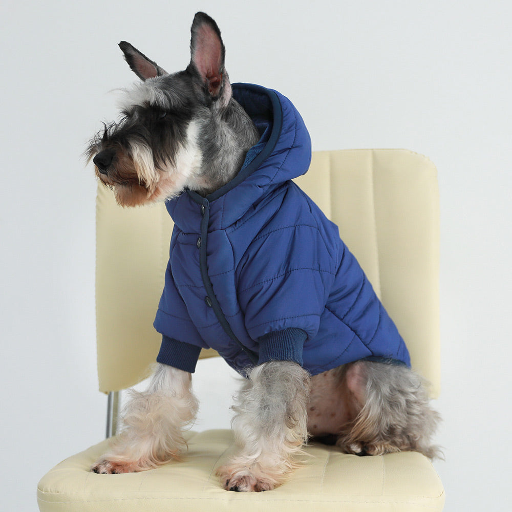Boy Dog Clothes Hoodies, Sweaters & More Fitwarm