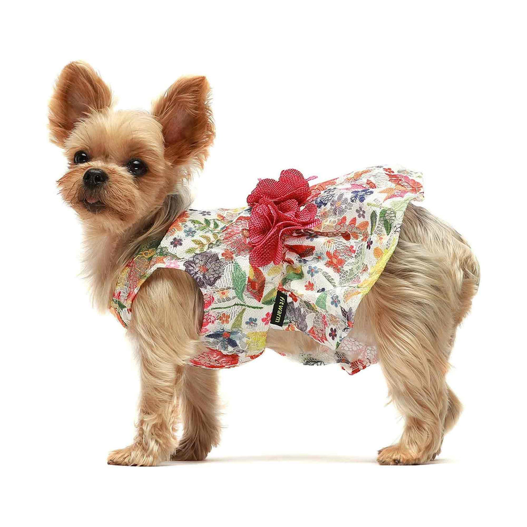 Bright Floral Tulle teacup yorkie clothes