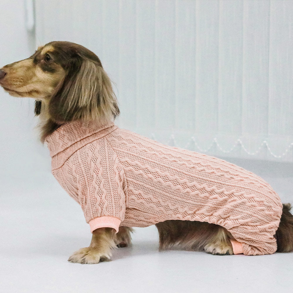Turtleneck Knitted dachshund clothes