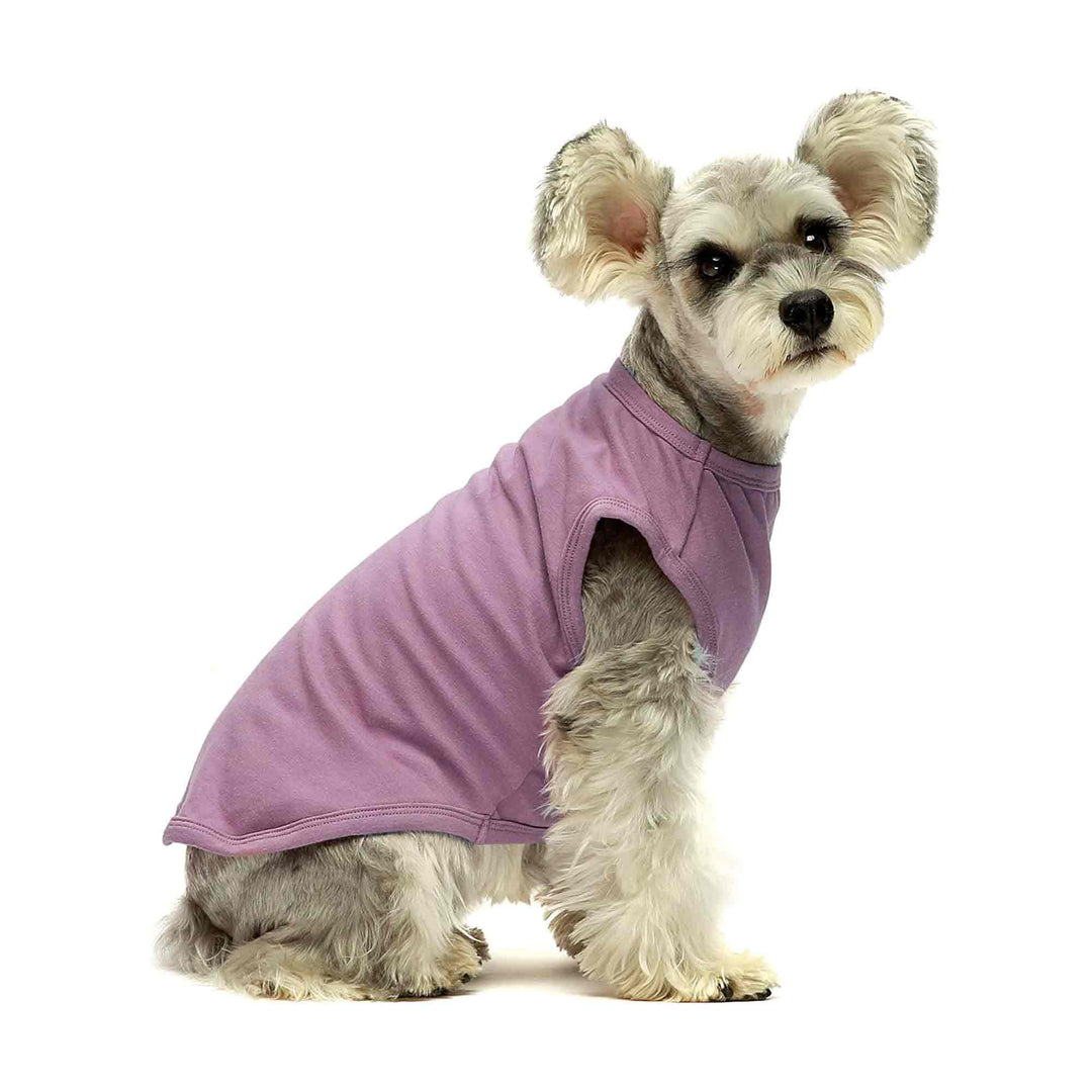 2-Pack Vest dog shirt