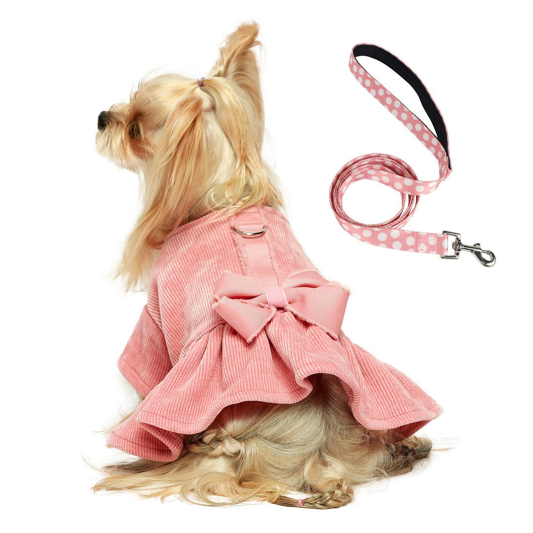 Harness Dog Dress with Leash Set