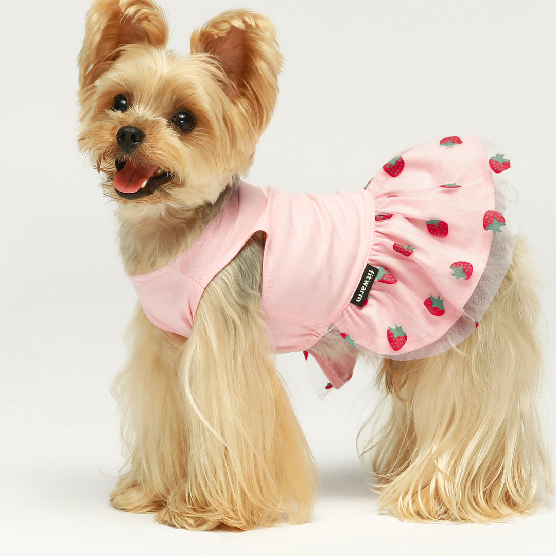 2 Pack Watermelon & Strawberry Tulle Dog Dress