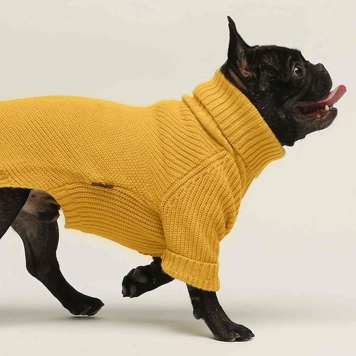 Turtleneck Knitted frenchie clothing