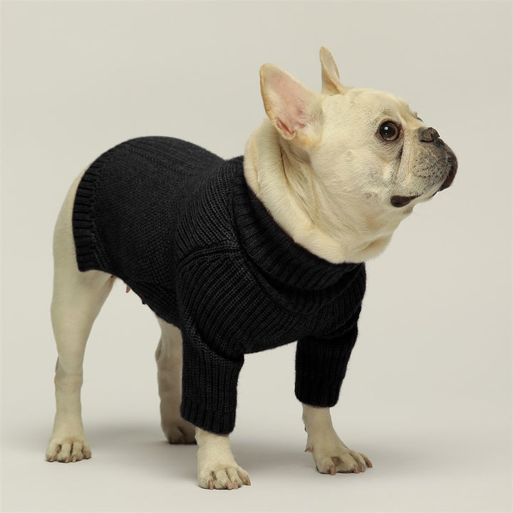 Turtleneck Knitted french bulldog clothes