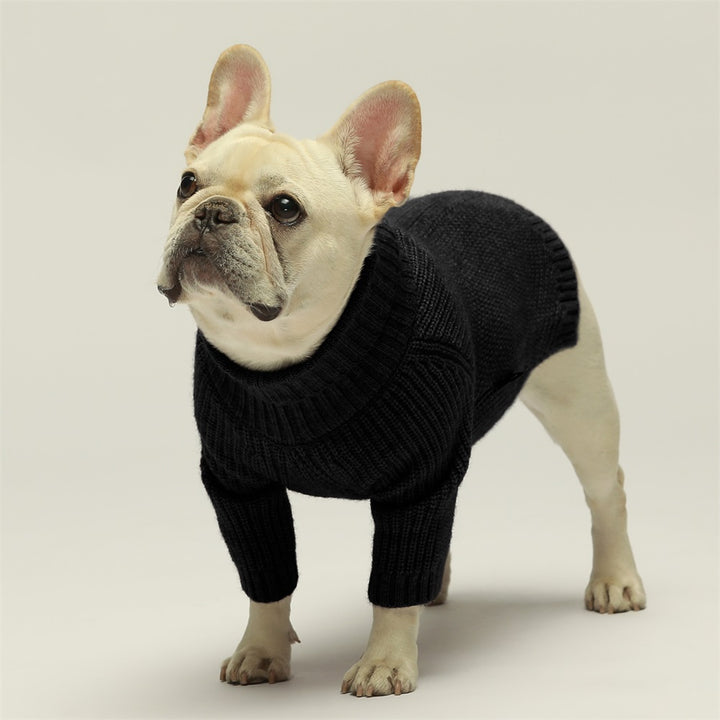 Turtleneck Knitted frenchie clothing
