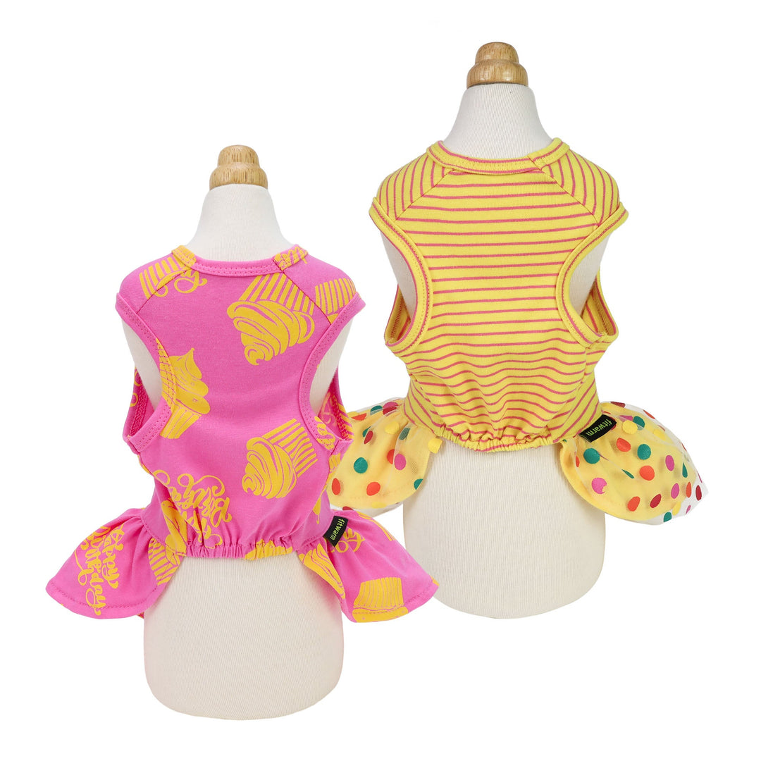 Birthday 2 Pack Dog clothes
