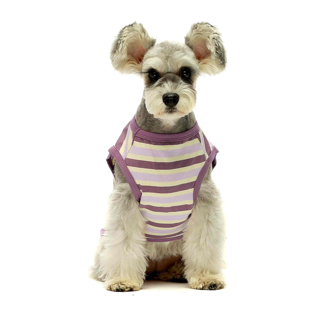 2-Pack Vest dog clothing