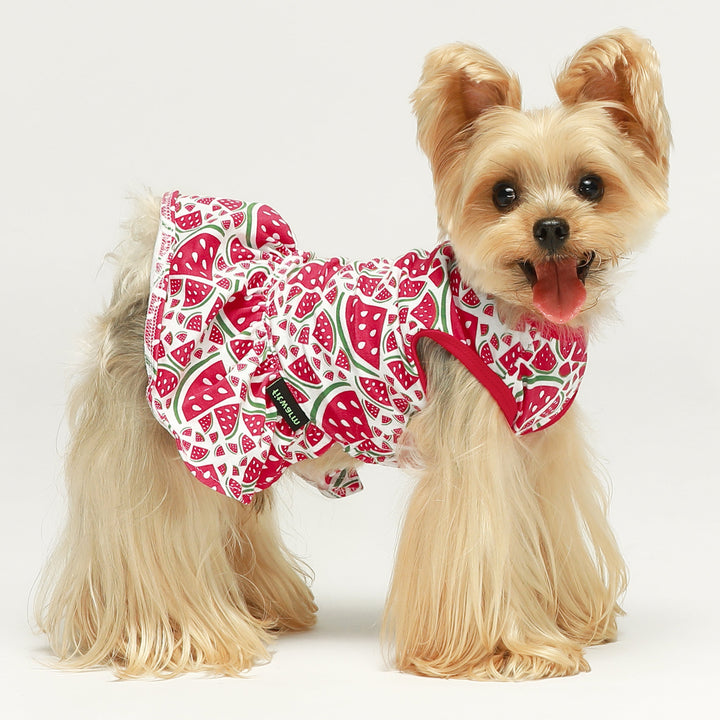 2 Pack Watermelon & Strawberry Tulle Dog in dress