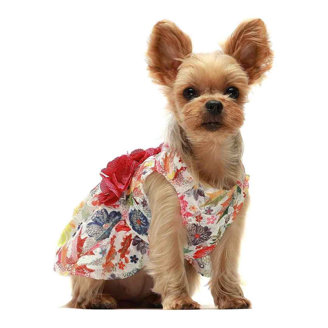 Bright Floral Tulle yorkie clothes