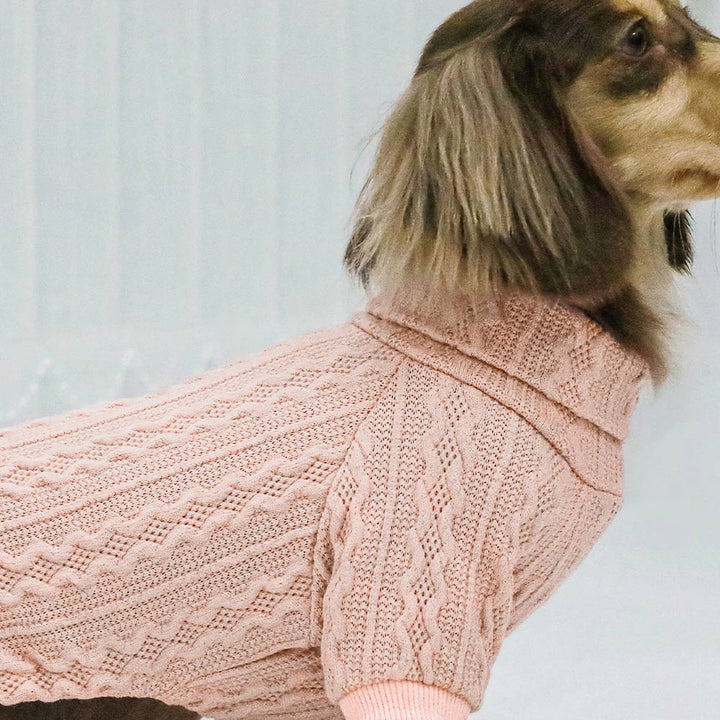 Turtleneck Knitted dachshund clothing