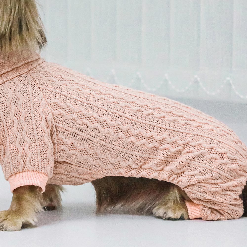 Turtleneck Knitted clothing for dachshunds