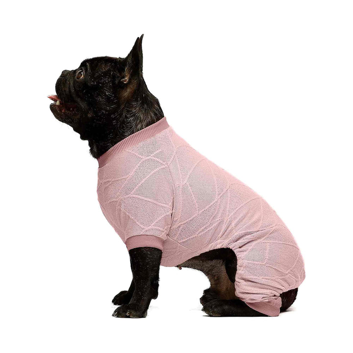 Lightweight Crewneck clothing for frenchies