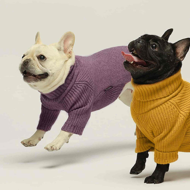 Turtleneck Knitted clothing for frenchies