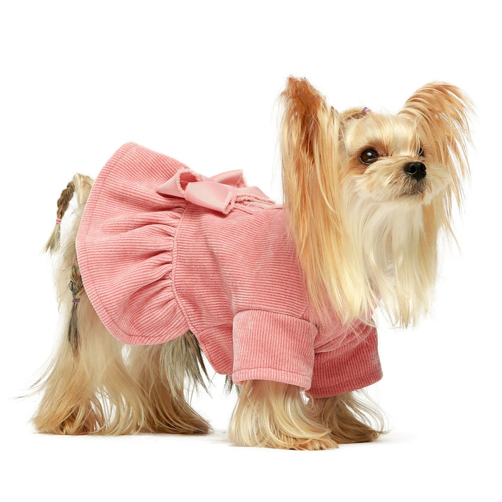 Harness with Leash Set yorkie clothes