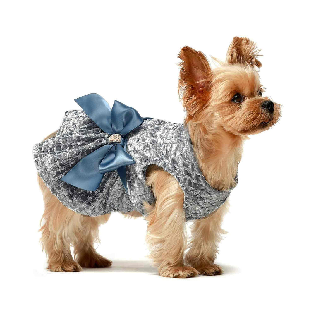 Embroidery Party teacup yorkie clothes