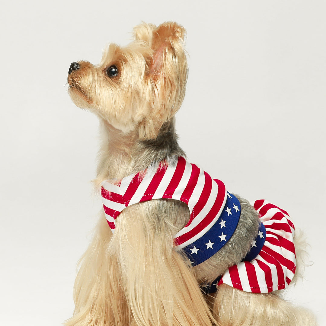 Patriotic Striped 2 Piece  dog clothing