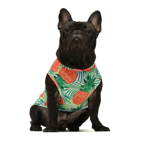 Green Pineapple Vest french bulldog clothes