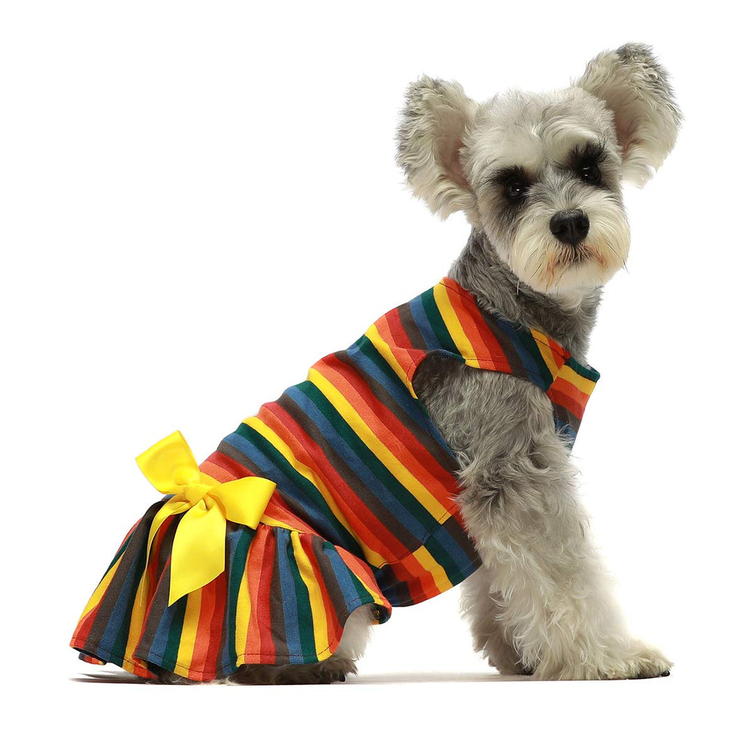 Rainbow Dog Dress