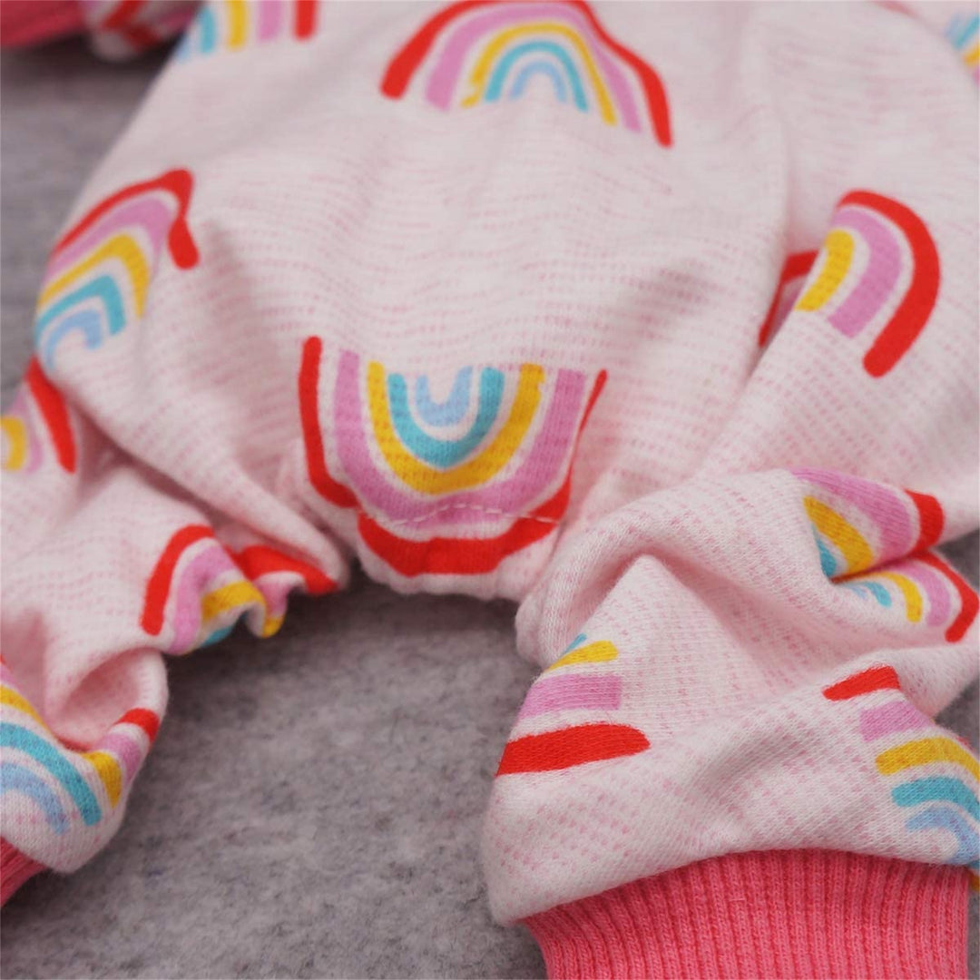 Rainbow dog onesie