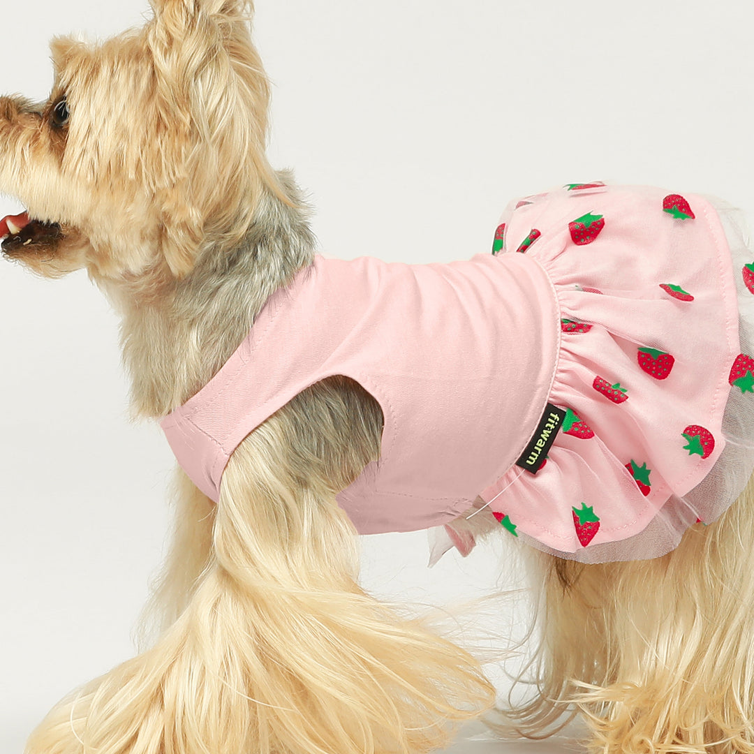 2 Pack Watermelon & Strawberry Tulle small dog clothes