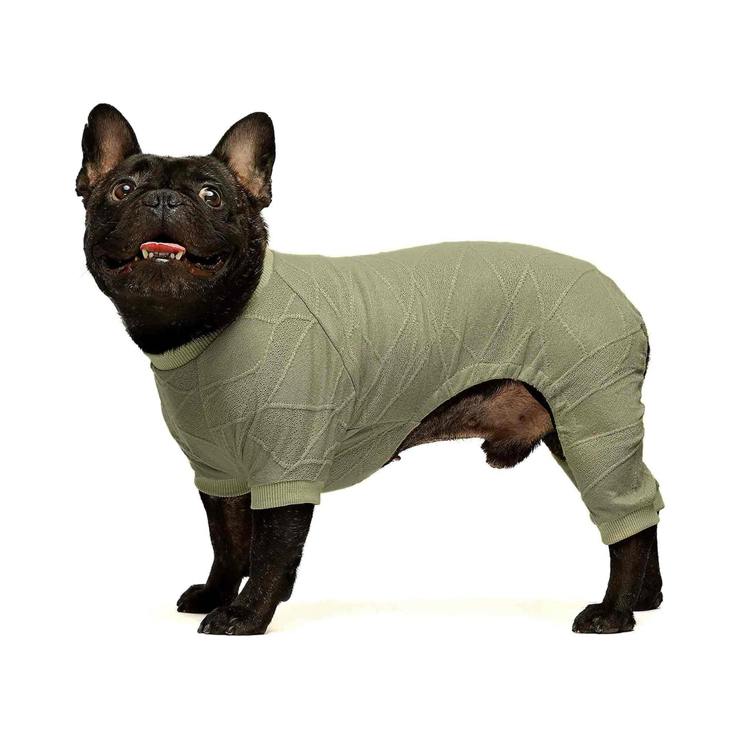 Lightweight Crewneck french bulldog clothes
