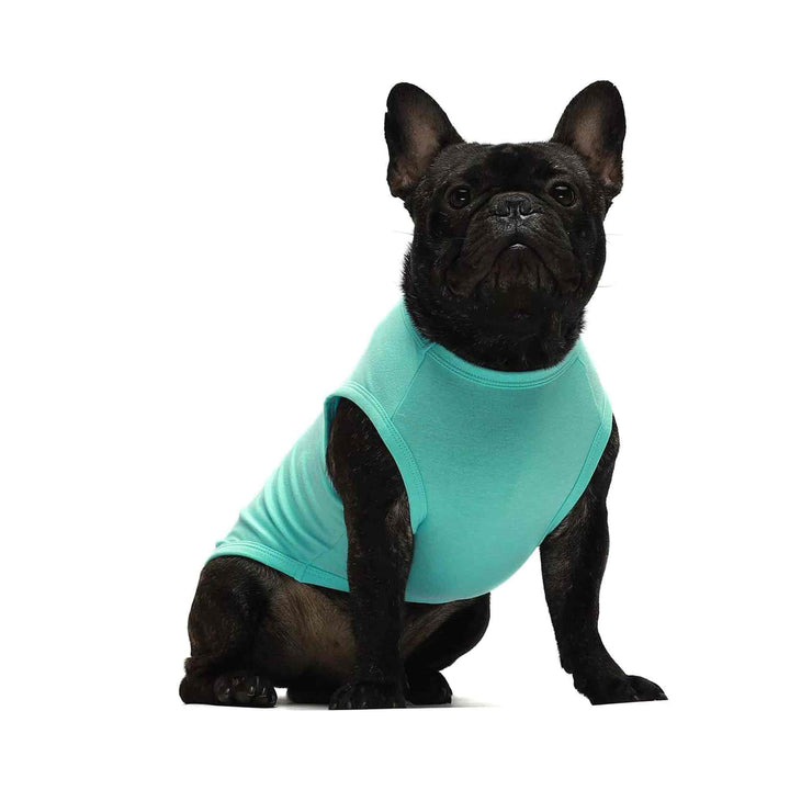 2-Pack Vest clothes for dogs