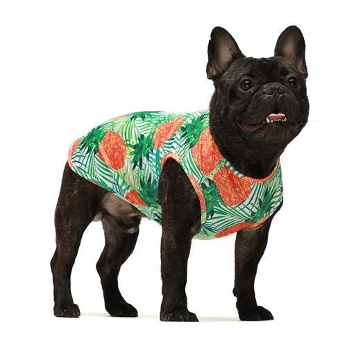 Green Pineapple Vest Dog Shirts