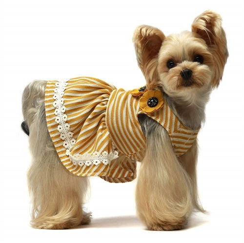 Yellow Stripe Dog Dress