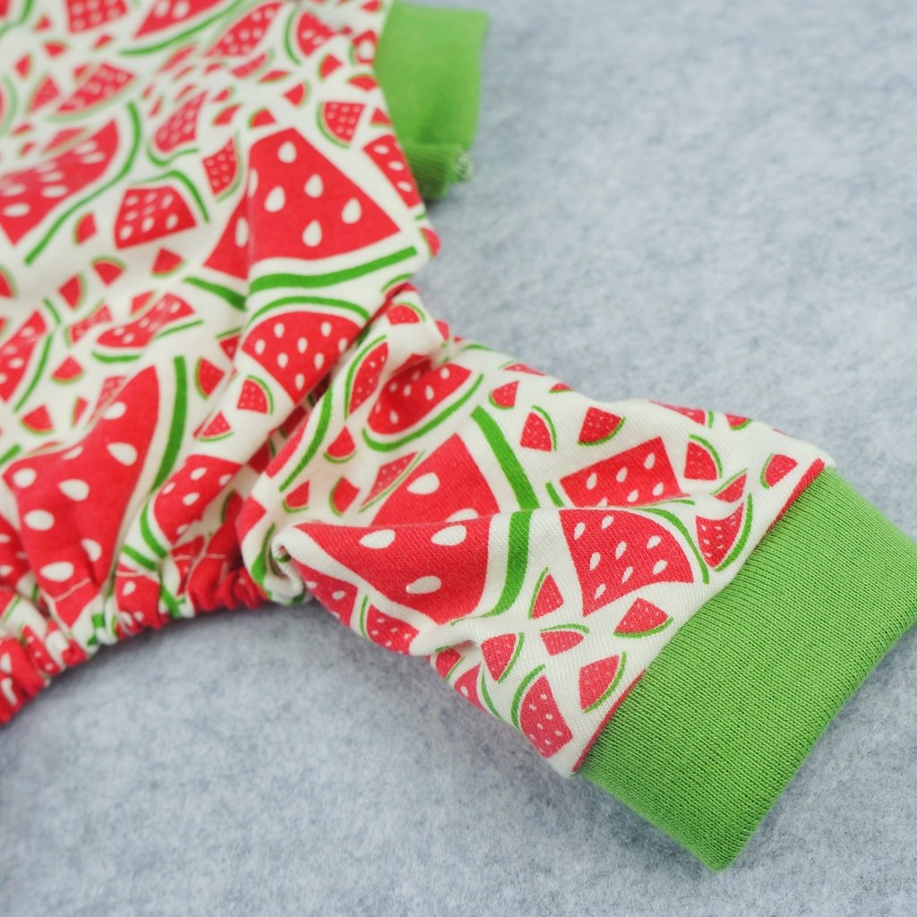 Watermelon clothes for dogs