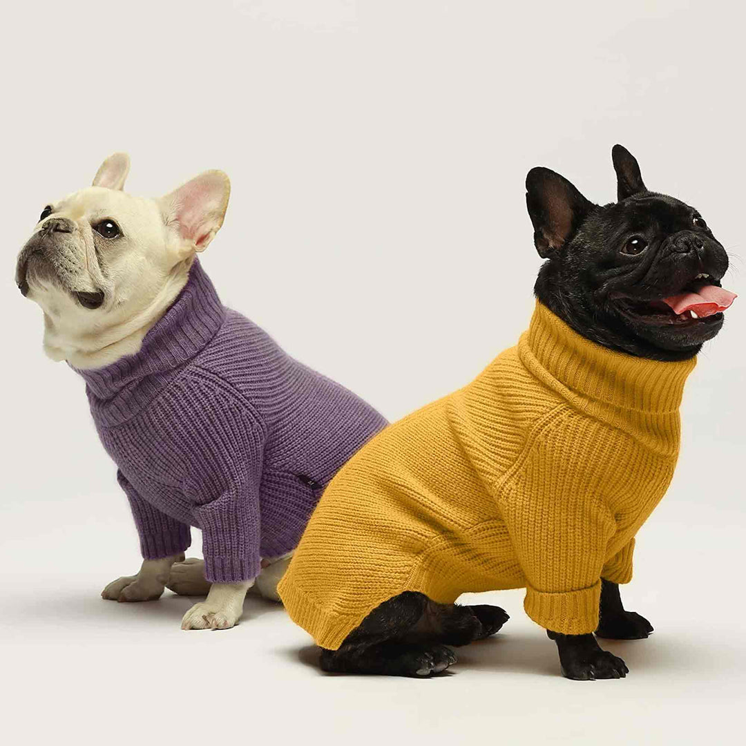 Turtleneck Knitted clothing for frenchies