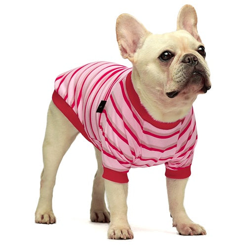 2-Pack Cotton Stripe french bulldog clothes
