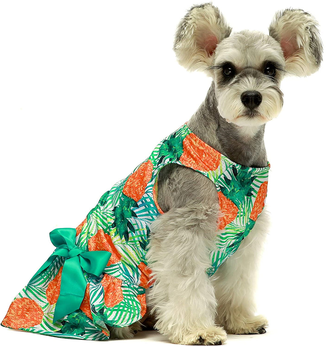 Pineapple Bowknot Dog Dress