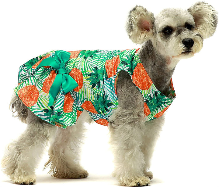 Pineapple Bowknot schnauzer clothes