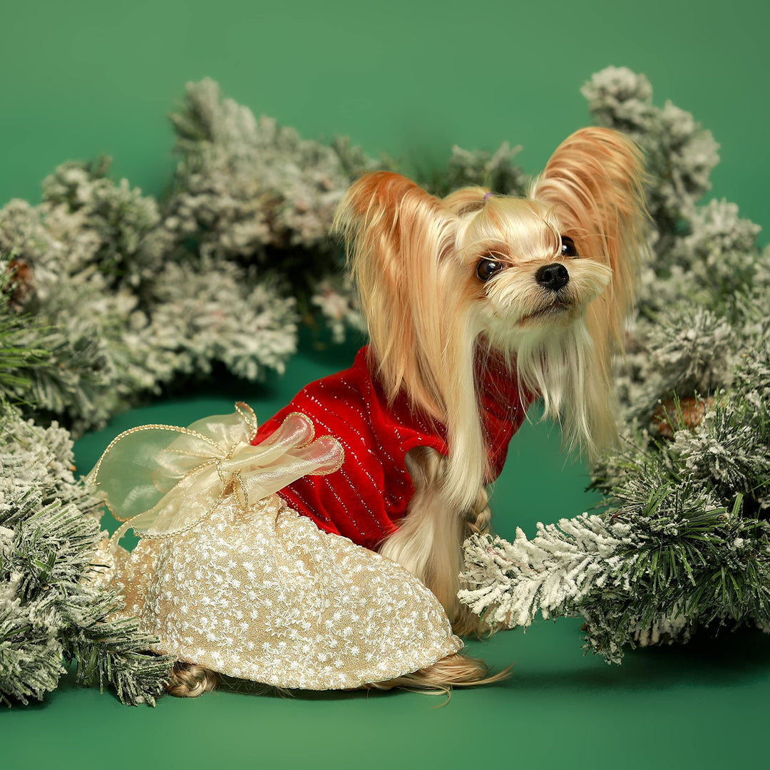 Turtleneck Dog Christmas Dress