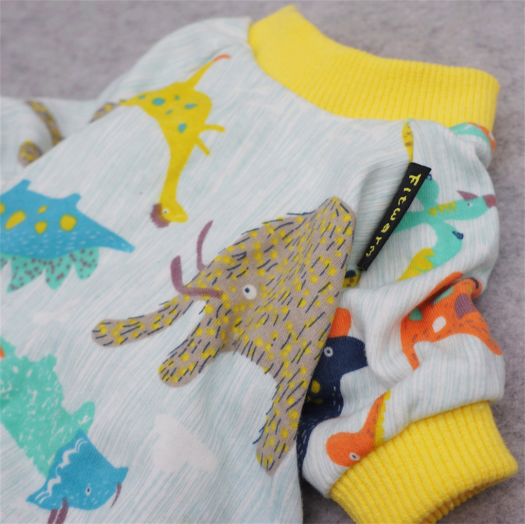 Dinosaur Pajamadog clothing