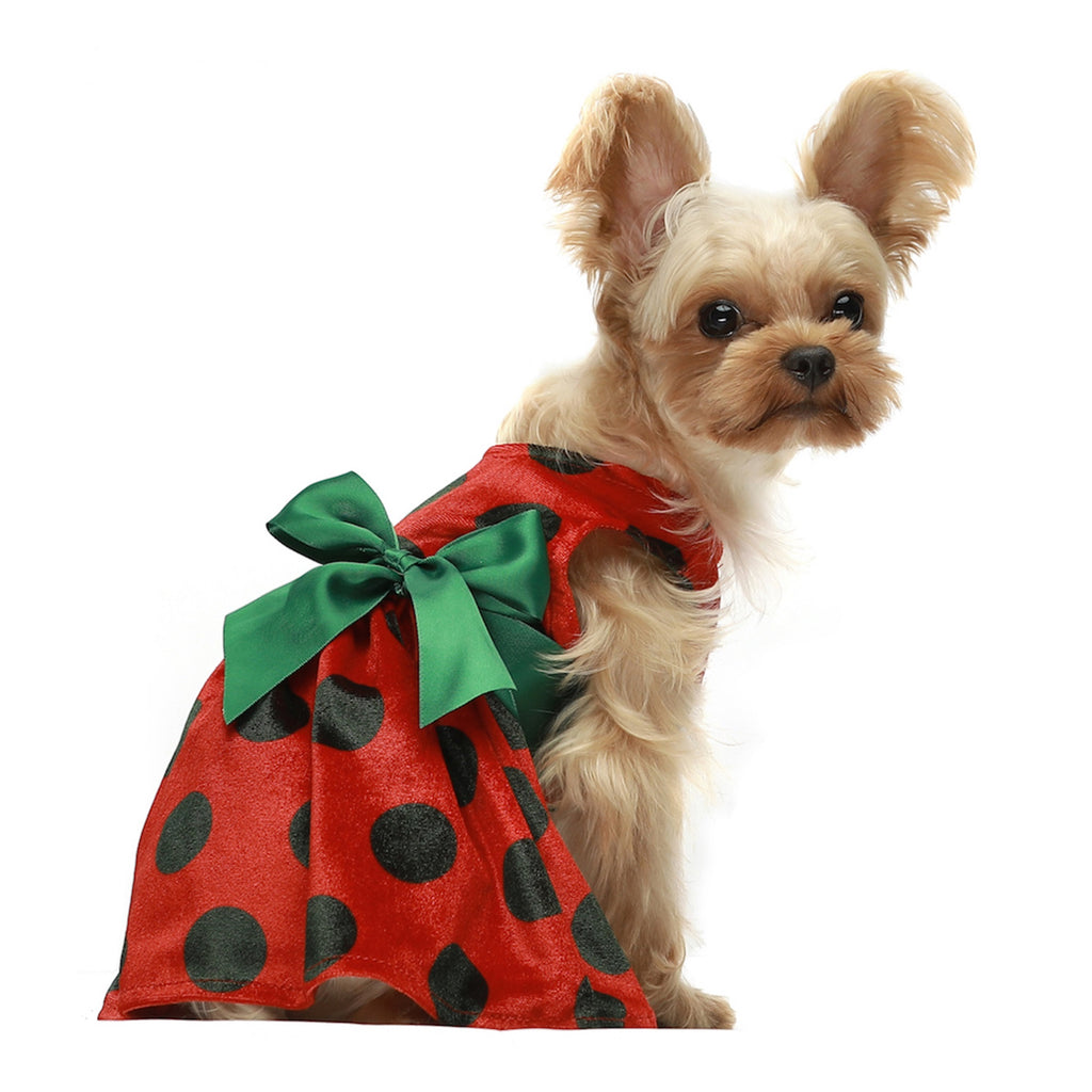 Polka Dot Dog Christmas Dress