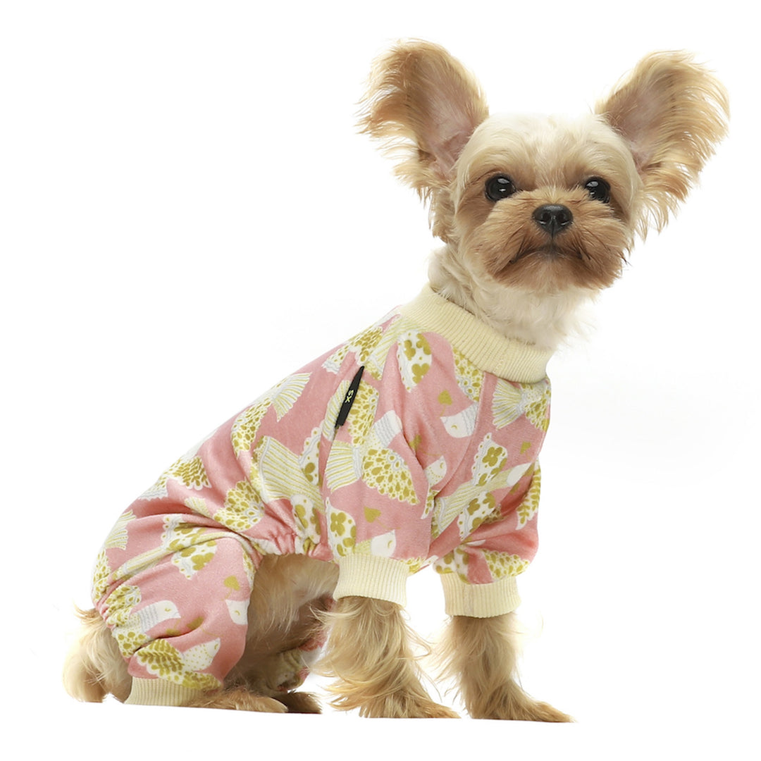 Peace Dove yorkie clothes
