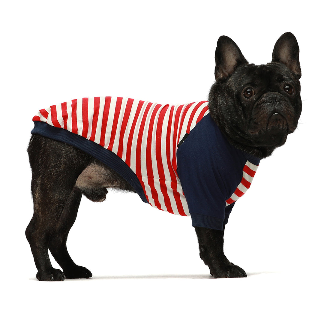 2-Pack 100% Cotton Striped Red-White frenchie clothing
