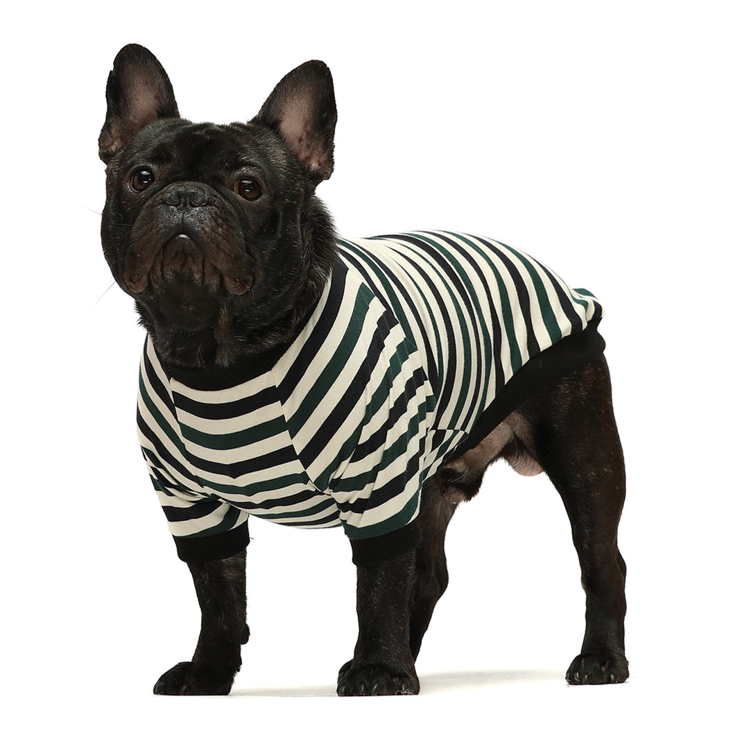 2-Pack 100% Cotton Striped Red-White clothing for frenchies