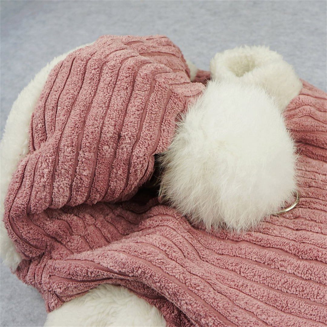 Knit dog clothing