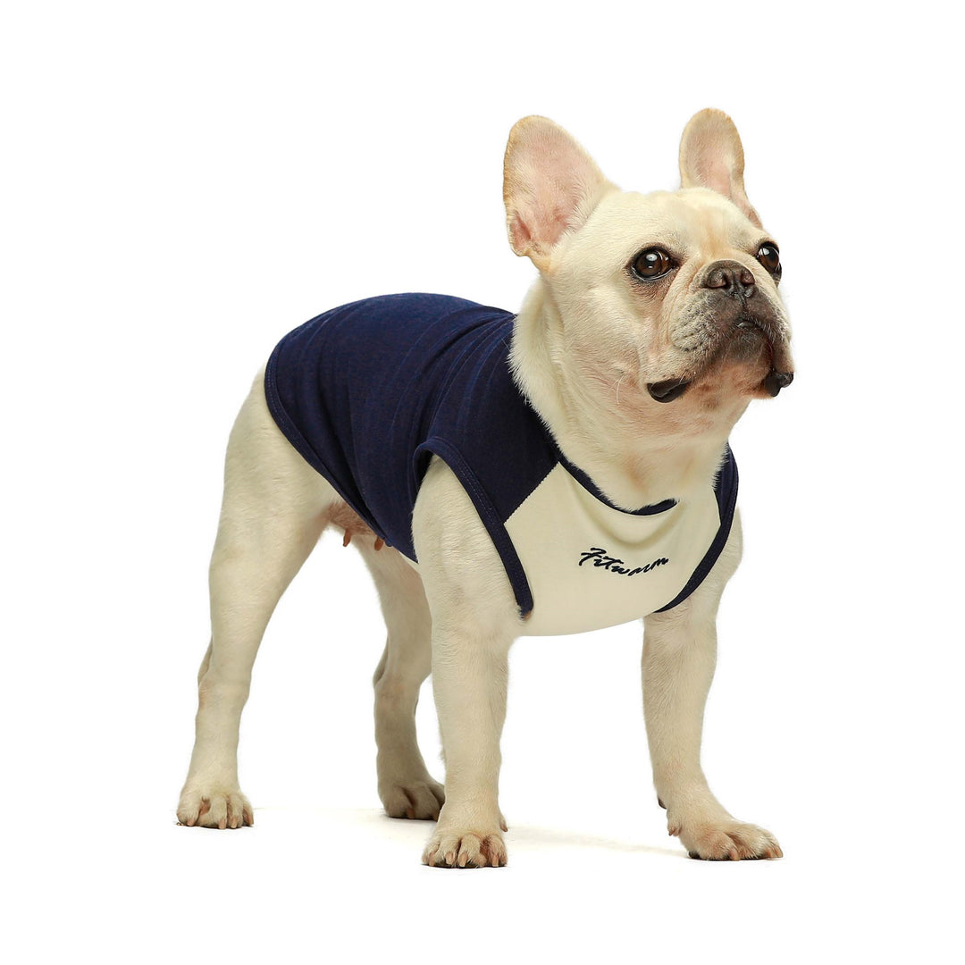 Basic Bold french bulldog clothes