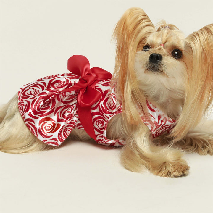 Red Full Rose yorkie clothes