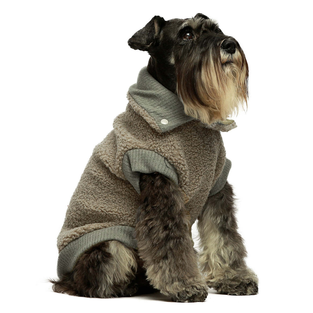 Granular Turtleneck Dog Sweater