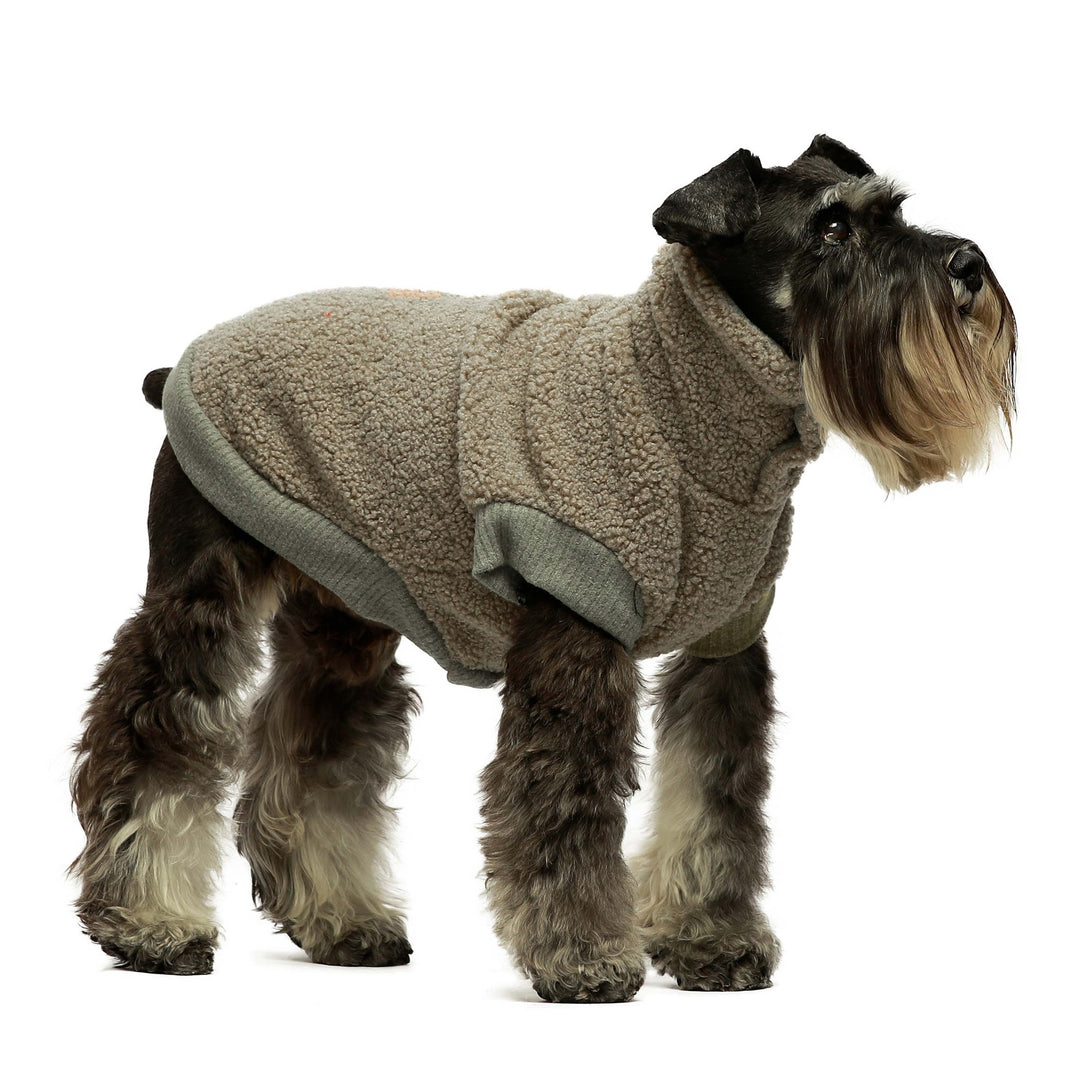 Granular Turtleneck Dog schnauzer clothes